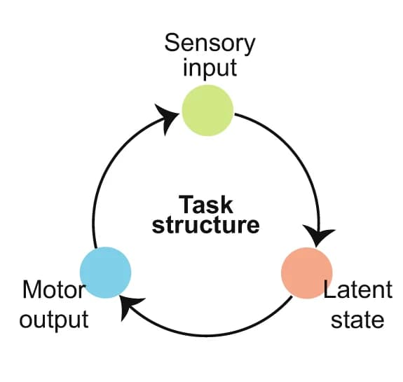Open access visualization of Workflow, Flowchart, Illustration, Sensory Inputs, Latent States