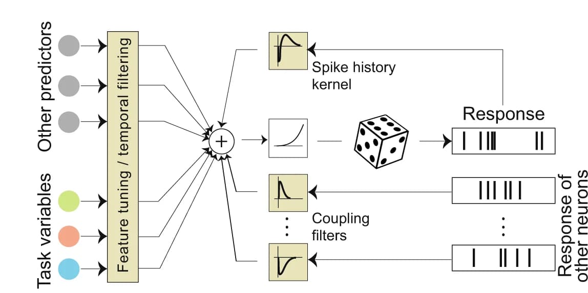 Open access visualization of Workflow, Line Plot, Predictors, Variance, Model