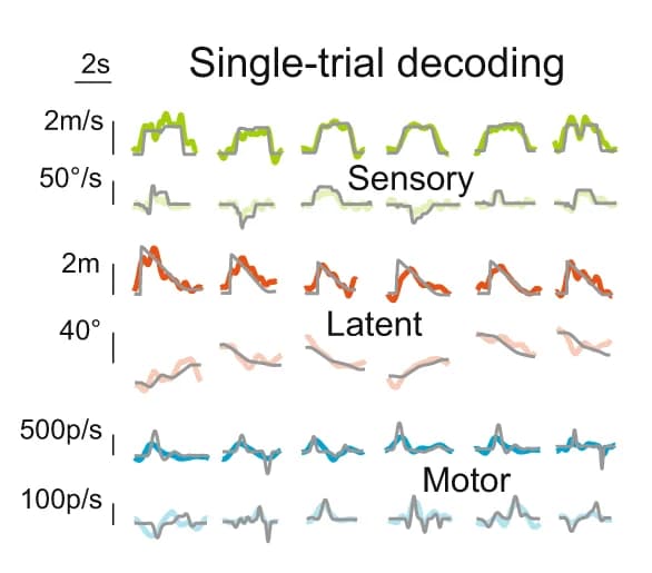 Open access visualization of Line Plot, Linear Decoder, Task Variables, Population Activity, Linear Velocity