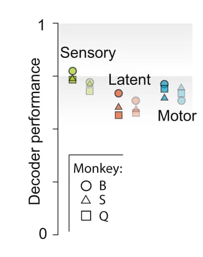 Open access visualization of Scatter Plot, Decoder Performance, Correlation, Observed Estimates, Decoded Estimates