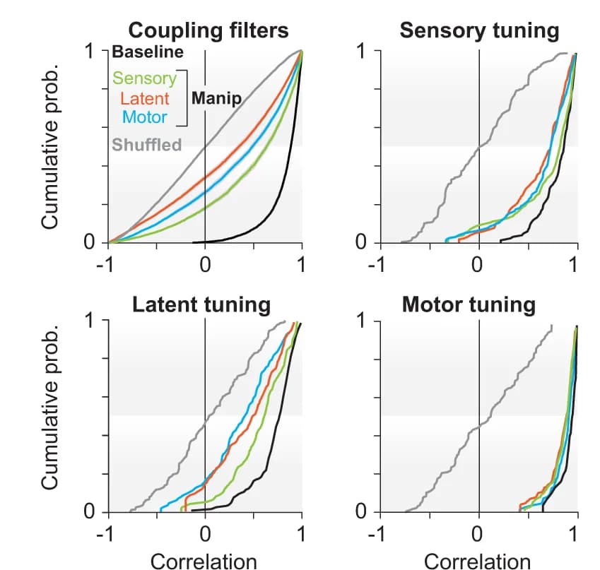 Open access visualization of Line Plot, Cumulative Distribution, Neurons, Correlation Coefficient, Coupling Filters