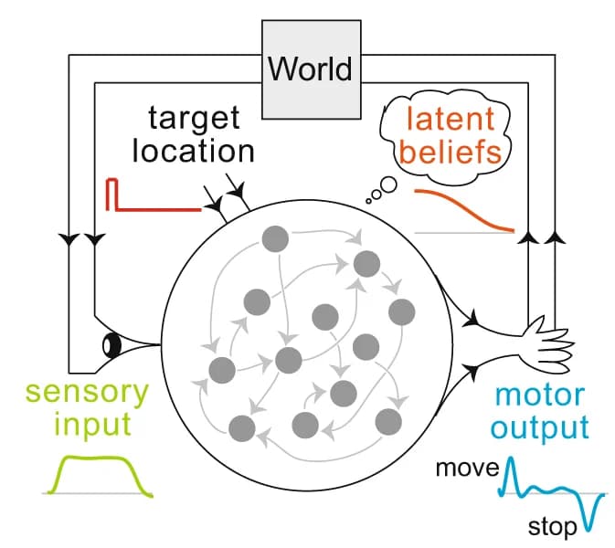 Open access visualization of Workflow, Illustration, Line Plot, Network, Recurrent Neural Network