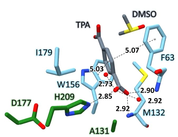 Open access visualization of Protein Structure, Chemical Structure, TPA, F63, W156
