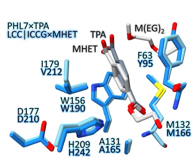 Open access visualization of Protein Structure, Chemical Structure, Superimposition, PHL7, TPA