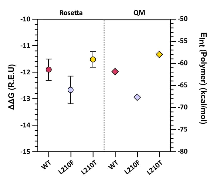 Open access visualization of Scatter Plot, Error Bars, Rosetta Average ΔΔG, Interaction Energies, EMT