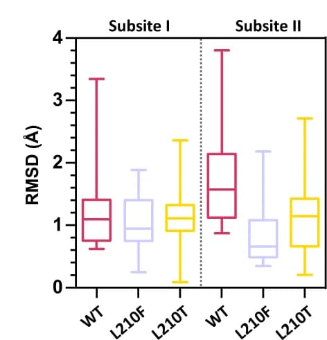 Open access visualization of Box Plot, RMSD, Terephthalic Rings, EMT, Subsite I