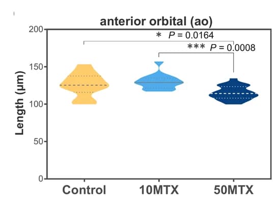 Open access visualization of Violin Plot, Violin Plots, Cranial Cartilages, Embryos, ANOVA