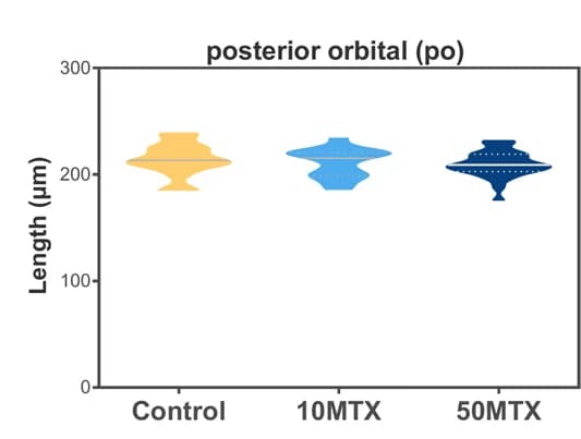 Open access visualization of Violin Plot, Violin Plots, Cranial Cartilages, Embryos, ANOVA