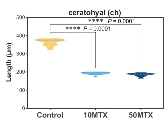Open access visualization of Violin Plot, Violin Plots, Cranial Cartilages, Embryos, ANOVA