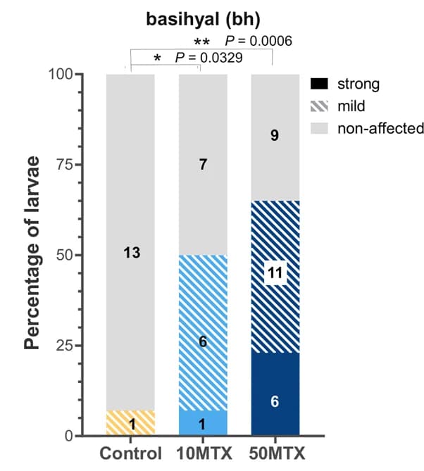 Open access visualization of Stacked Bar Plot, Embryos, Basihyal Cartilage Abnormalities, MTX, Quantification