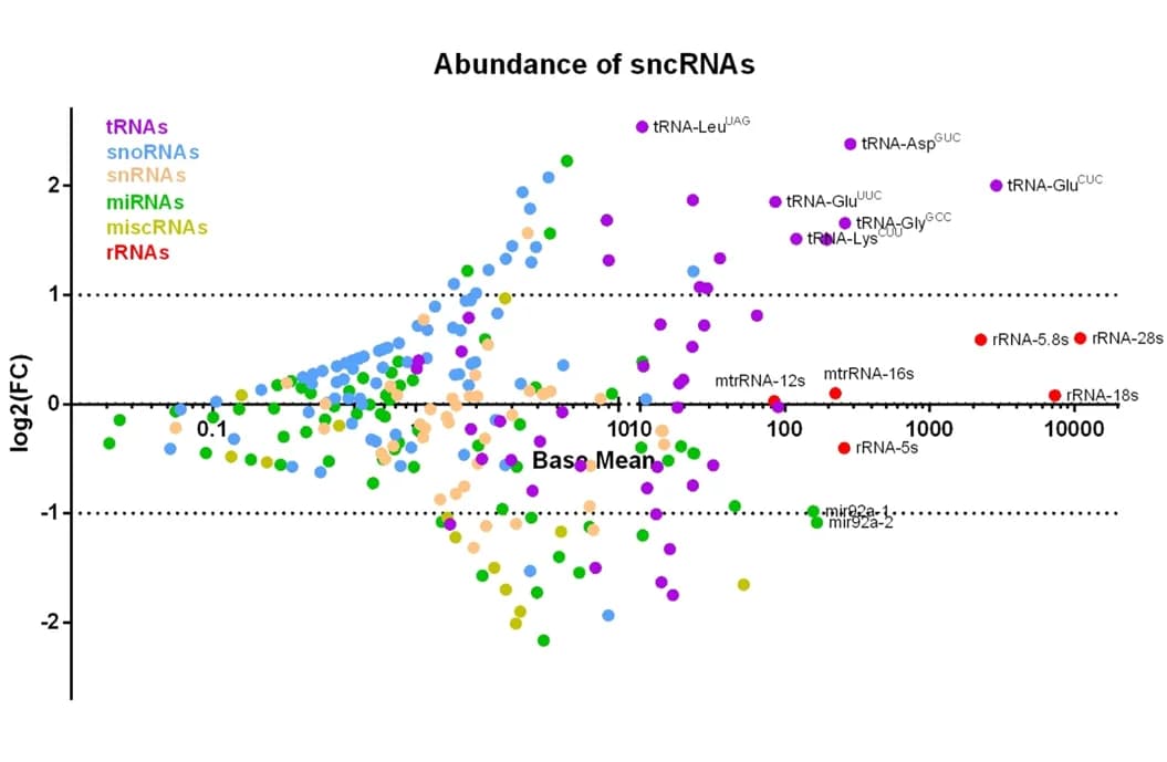 Open access visualization of Scatter Plot, Volcano Plot, MA Plot, Normalized Counts, sncRNAs