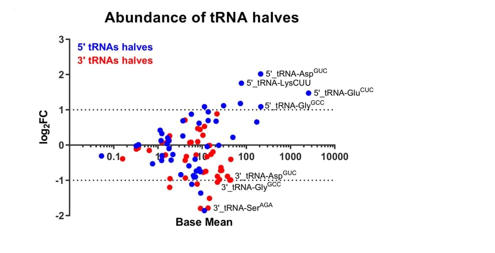 Open access visualization of Scatter Plot, MA Plot, Normalized Counts, tRNA Halves, Up-regulated