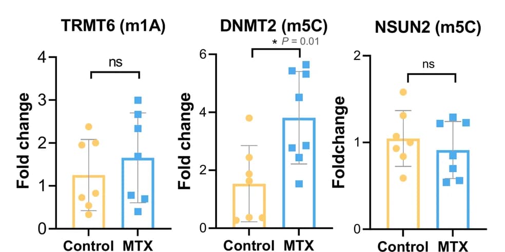 Open access visualization of Bar Plot, Scatter Plot, Error Bars, RT-qPCR, Methyltransferases