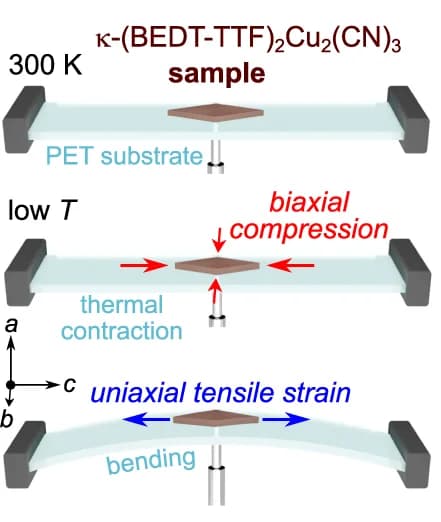 Open access visualization of Illustration, Single-crystalline filament, PET Substrate, Biaxial compression, Superconducting properties