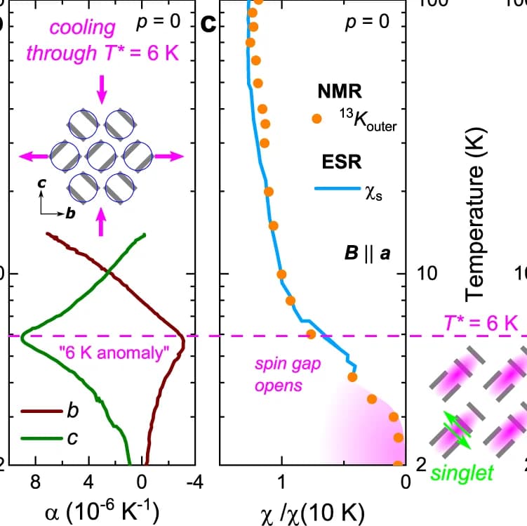 Open access visualization of Line Plot, Scatter Plot, Phase diagram, Insulator-metal boundary, Spin-singlet phase