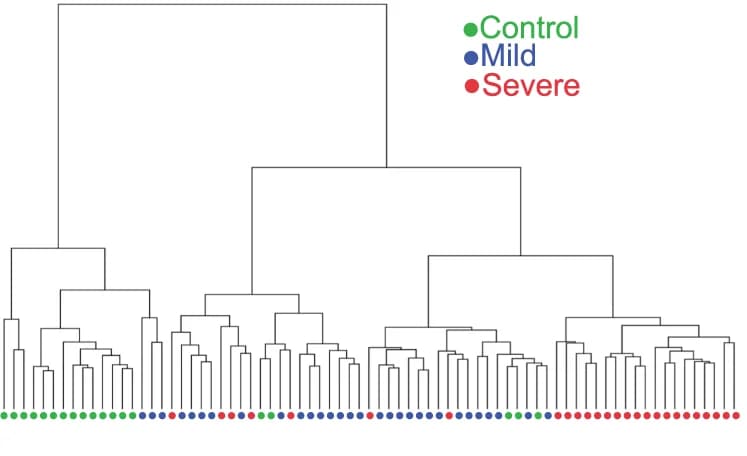 Open access visualization of Clustered, Neutrophils, Metabolomic analysis, COVID-19 patients, Hierarchical clustering