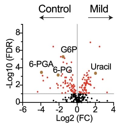 Open access visualization of Volcano Plot, Scatter Plot, Volcano plots, Neutrophil metabolome, COVID-19 patients