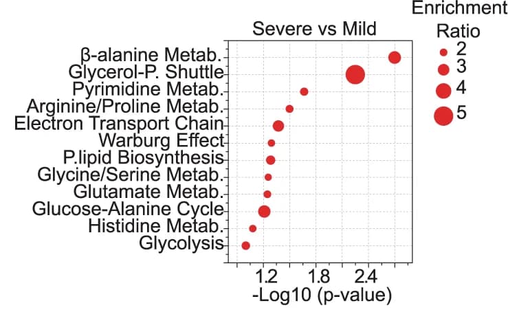 Open access visualization of Bubble Plot, Pathway enrichment analysis, Neutrophil metabolites, COVID-19 patients