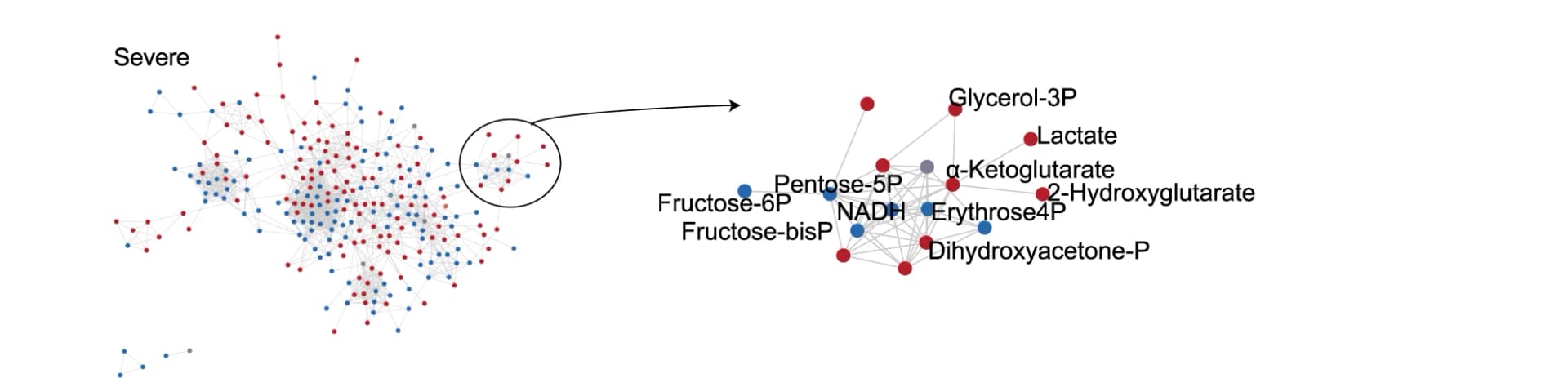Open access visualization of Network, Pathway, Network diagrams, Neutrophil metabolites, Glycolytic metabolites