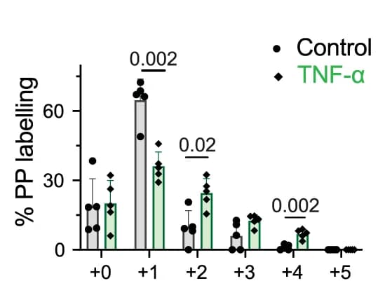 Open access visualization of Bar Plot, Error Bars, Clustered, Scatter Plot, TNF-alpha
