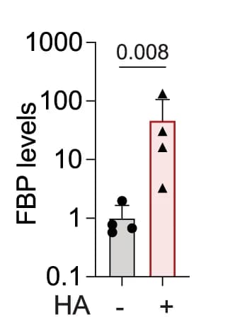 Open access visualization of Bar Plot, Error Bars, Metabolite levels, Neutrophils, HA treatment