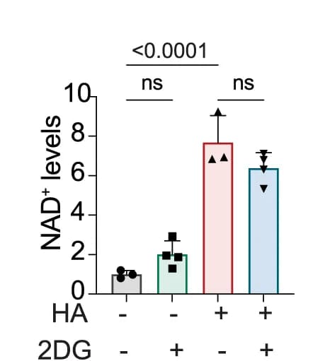 Open access visualization of Bar Plot, Error Bars, Clustered, Metabolite levels, Neutrophils
