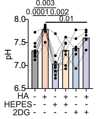 Open access visualization of Bar Plot, Scatter Plot, HEPES, 2DG, Neutrophil pH