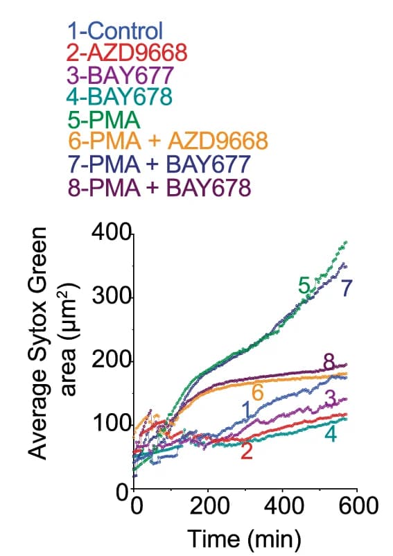 Open access visualization of Line Plot, Neutrophil Elastase Inhibitors, AZD9668, BAY-678, HA-induced NET Formation