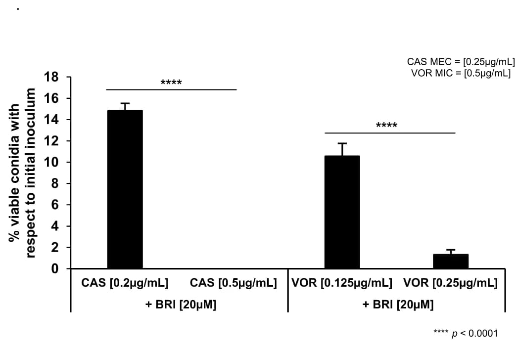 Open access visualization of Bar Plot, Error Bars, A. fumigatus, Conidia, BRI