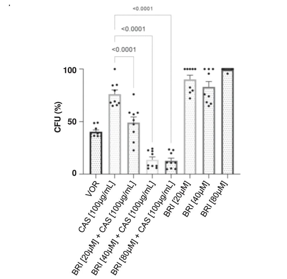 Open access visualization of Bar Plot, Error Bars, A549 Cells, A. fumigatus Conidia, BRI