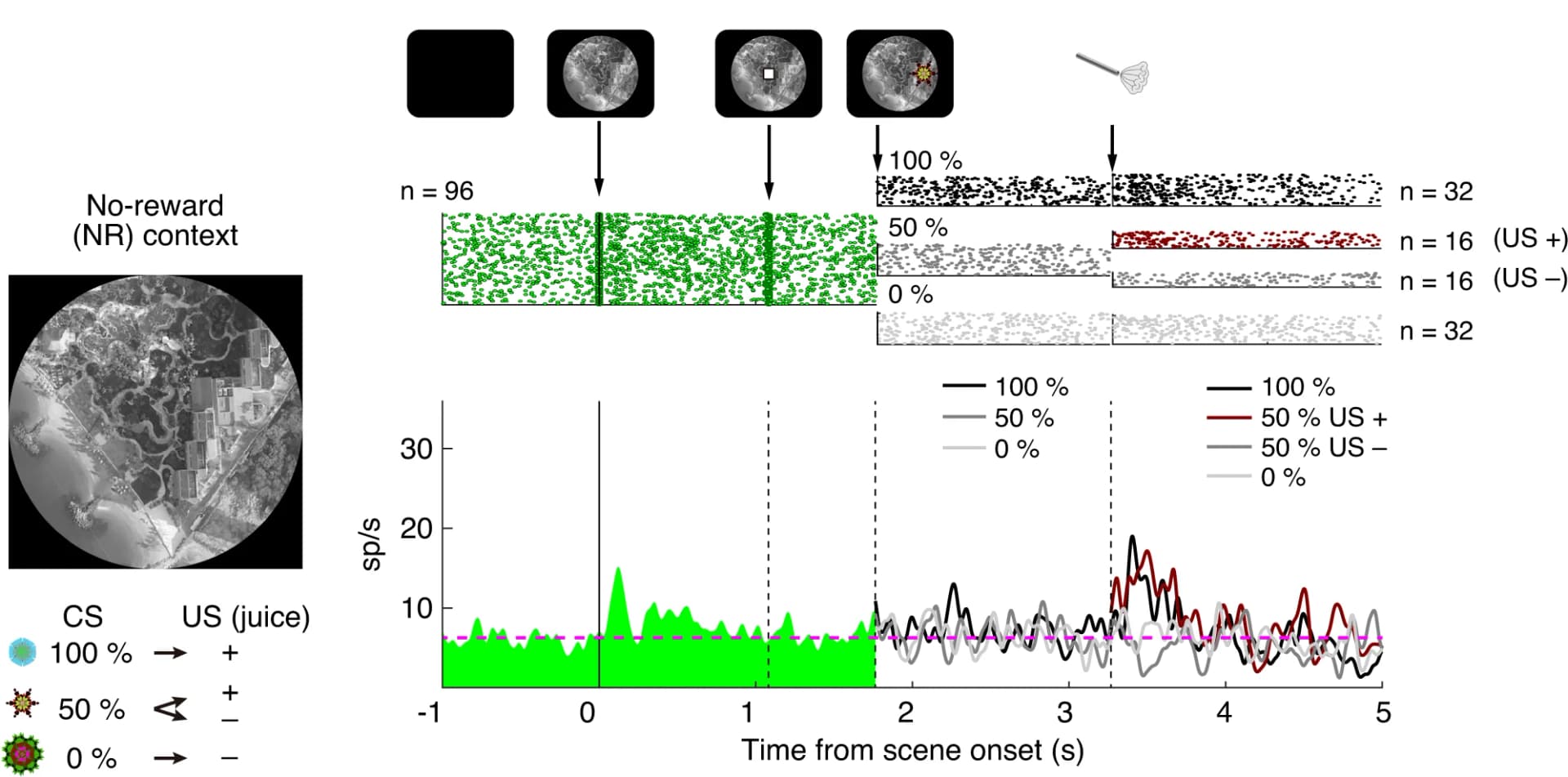 Open access visualization of Line Plot, Line Step, DA Neuron, Pavlovian Task, Scene