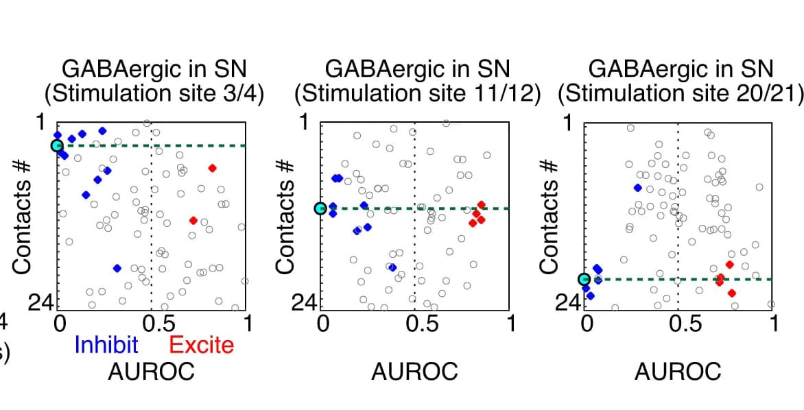 Open access visualization of Scatter Plot, GABAergic Neurons, DA Neurons, Amygdala Axon, Substantia Nigra