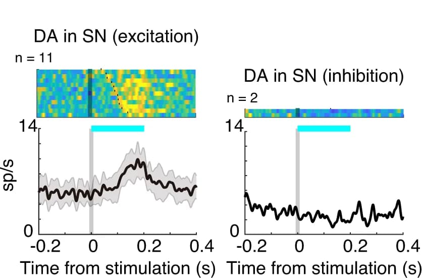 Open access visualization of Line Plot, Error Bars, Heatmap, GABAergic Neurons, DA Neurons