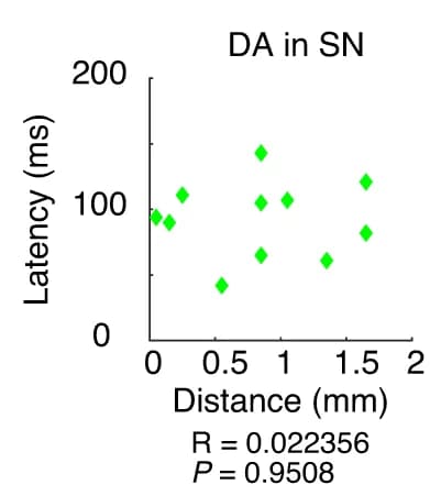 Open access visualization of Scatter Plot, Distance, Latency, Amygdala, GABAergic Neurons