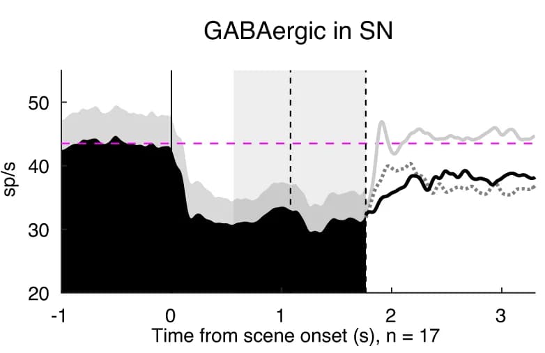 Open access visualization of Line Plot, Error Bars, Amygdala, GABAergic Neurons, DA Neurons