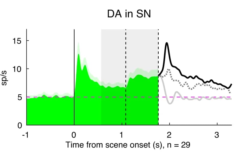 Open access visualization of Line Plot, Error Bars, Density Plot, Amygdala, GABAergic Neurons