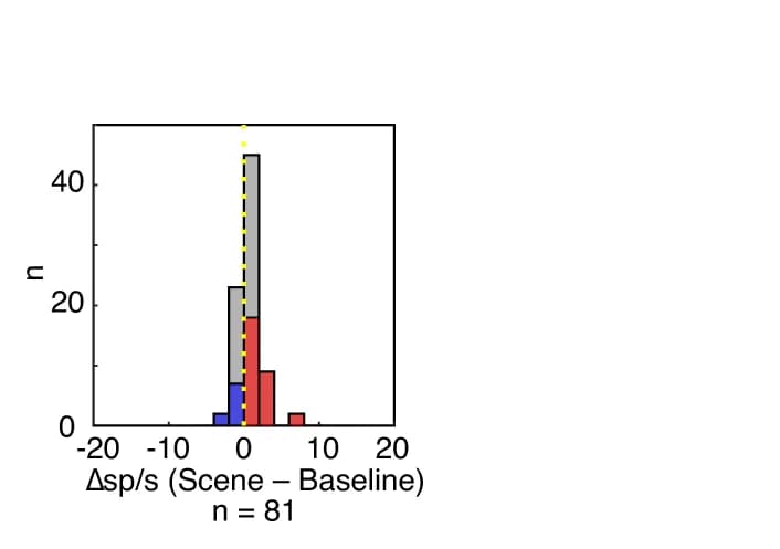 Open access visualization of Histogram, Amygdala, GABAergic Neurons, DA Neurons, Firing Rates