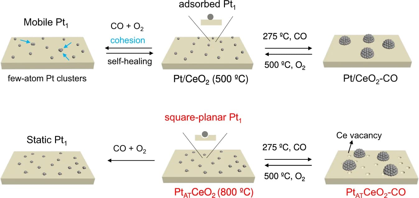 Open access visualization of Workflow, Illustration, Single-Atom Catalyst, CO Oxidation, Reductive Conditions