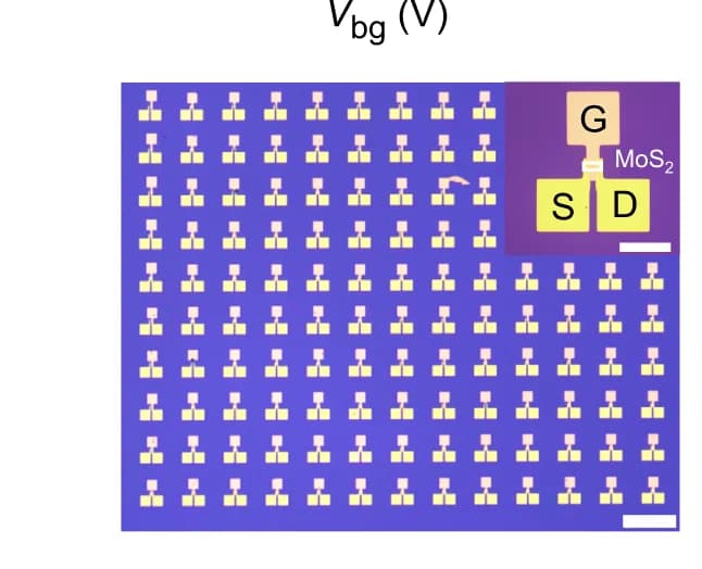 Open access visualization of Microscopy, Photo, Top-gate MoS 2 Transistor Array, Al 2 O 3 Dielectric, Optical Image
