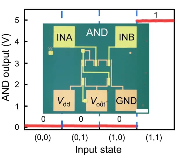 Open access visualization of Line Plot, Photo, Microscopy, Output Voltage, Optical Image