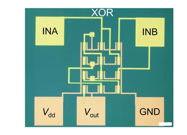 Open access visualization of Illustration, Workflow, Flowchart, Optical Image, MoS2