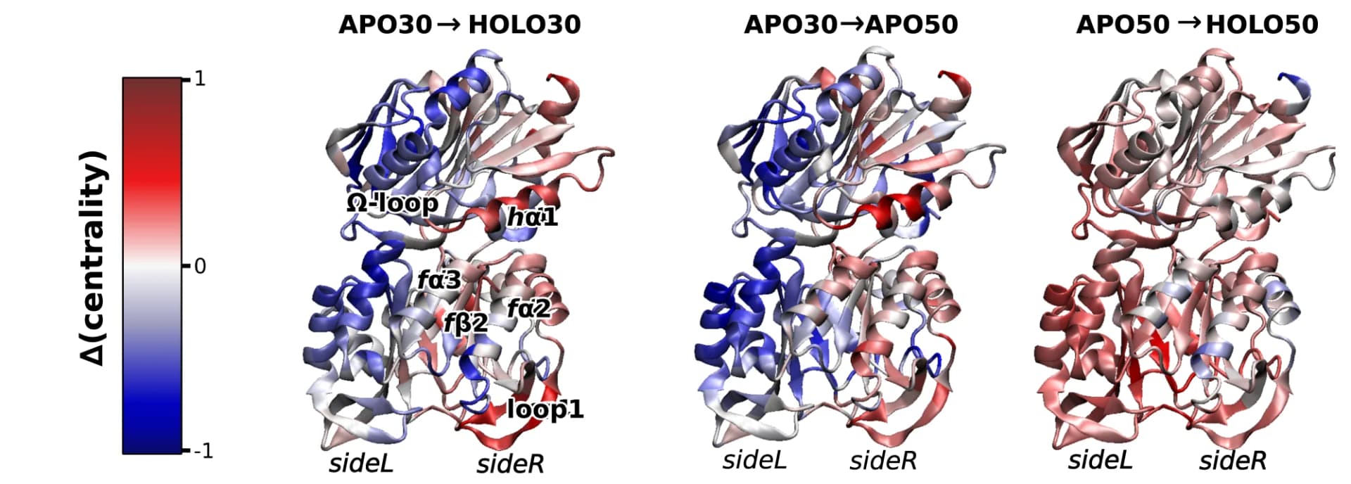 Open access visualization of Protein Structure, Eigenvector Centrality, PRFAR Effector, IGPS Enzyme, Secondary Structures