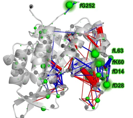 Open access visualization of Protein Structure, Temperature Coefficient, Perturbation Contact Network, Residues, Protein