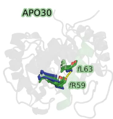 Open access visualization of Protein Structure, Configurations, Residues, MD Trajectories, Hydrogen Bond
