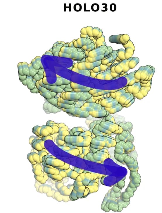 Open access visualization of Protein Structure, 3D Plot, Variance, Principal Components