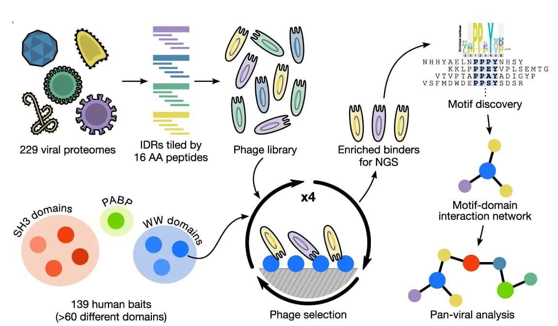 Open access visualization of Workflow, Flowchart, ProP-PD selection process, Data analysis