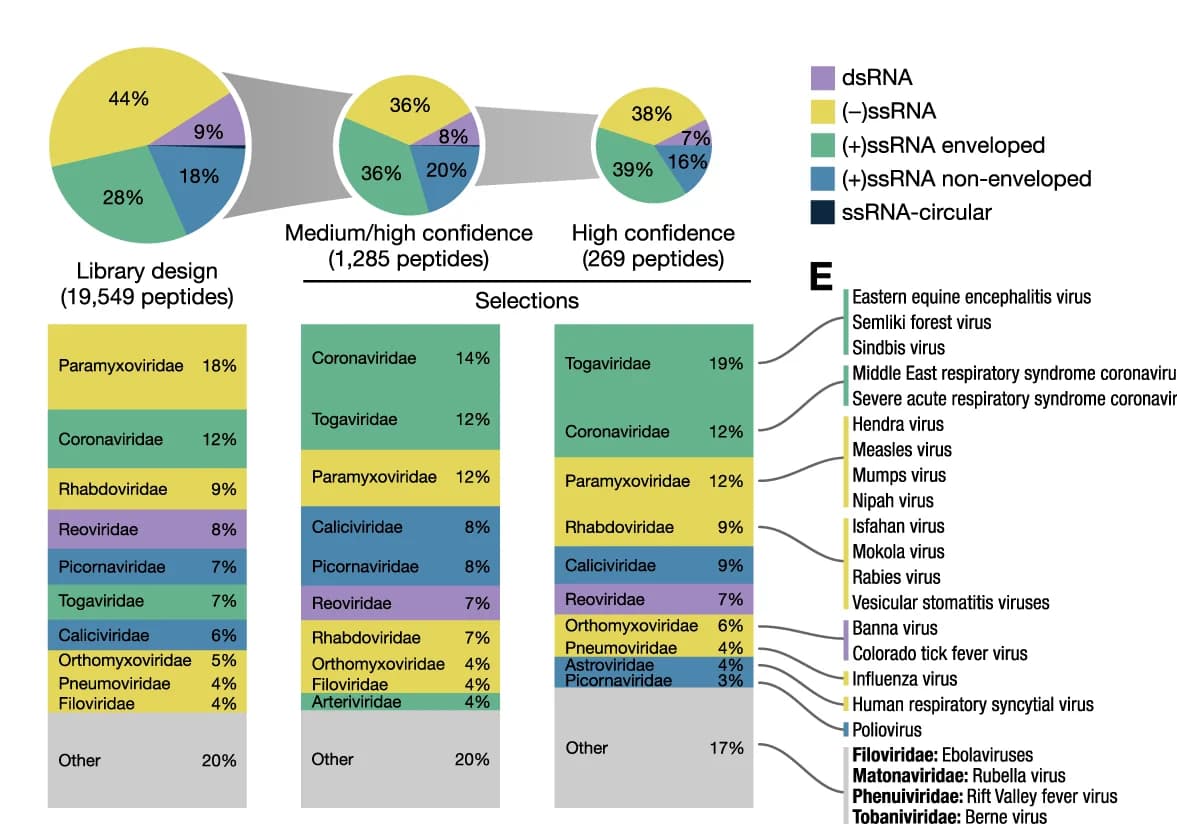 Open access visualization of Pie Chart, Bar Plot, RiboVD library composition, Peptide distribution, RNA viral genome types