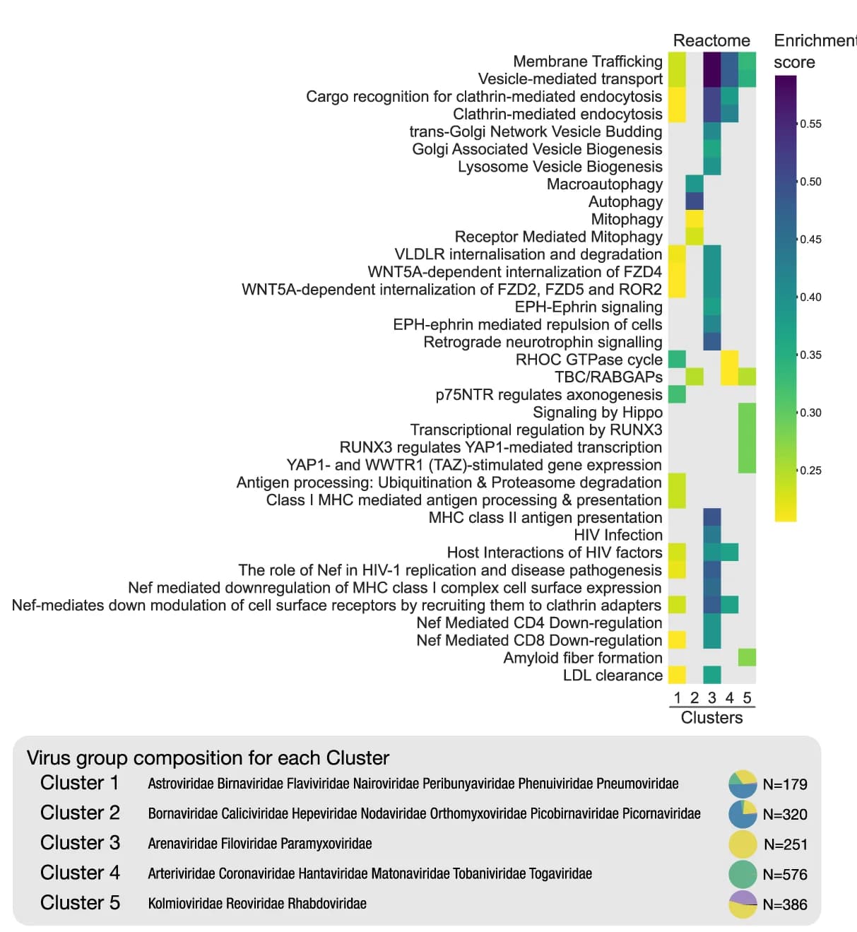 Open access visualization of Heatmap, Pie Chart, Clustering, Network Signatures, Reactome Pathways