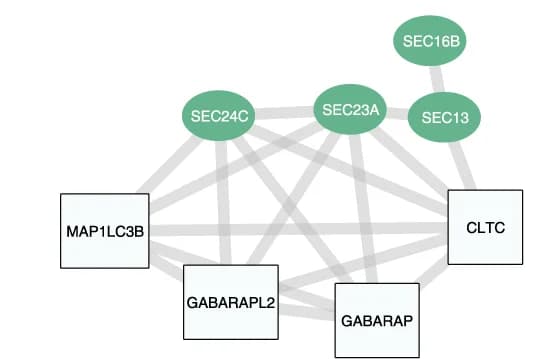 Open access visualization of Network, Pathway, Sub-network, COPII Complex, Network Diffusion