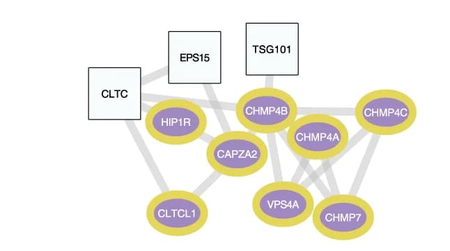Open access visualization of Network, Pathway, Sub-network, ESCRTIII Components, Network Diffusion